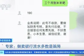 你的银行流水记录，几百元就能查？这个行业，竟有这些黑幕……图片