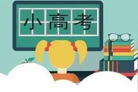 2020年“小高考”成绩揭晓图片