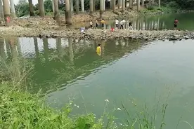 夏季如何垂钓？做到这几点，收获满满图片