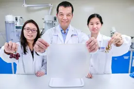 水果废料新用途：帮助从甲壳类动物壳中提取更优质聚合物图片