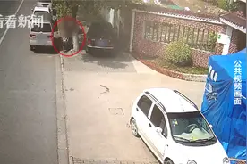 姐姐盗车后“心生悔意”归还 却怂恿妹妹再去偷图片