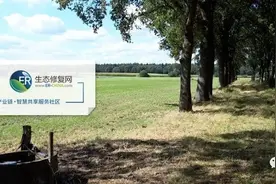 国土空间生态修复，需要哪些材料与装备？图片