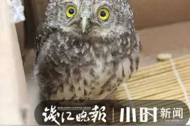 浙江男子捡到一个呆萌的它！民警：哎哟小心，这家伙猛啊图片