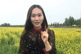 这就是山东丨油菜花开黄河岸 航拍滨州这处网红打卡地视频封面