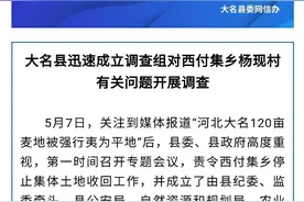 河北大名回应“麦地被强行夷为平地”：停止集体土地收回，成立调查组图片