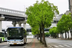 调整啦！“这条公交线路”将不再经过长宁了图片