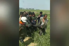 河北大名县已对村支书强推麦田成立调查组，责令停止集体土地收回视频封面