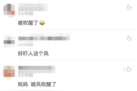 成都6级以上大风来了！嚎了一夜，出门人都要被吹飞！建议这样穿…图片