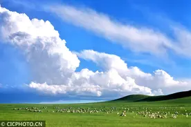 中国食谱中的内蒙古“硬菜”图片