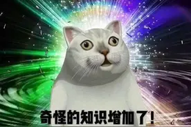 用车轮开打火机？网友问：“可以租个蓝朋友考驾照吗？”图片