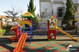 重磅！青岛中小学招生政策出炉，中考时间定为七月中旬图片