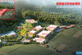年产生猪12万头 新希望智能化养猪场落户平谷图片