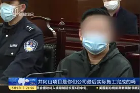 虚增巨额营业收入  上市公司中毅达涉案人员被判刑视频封面