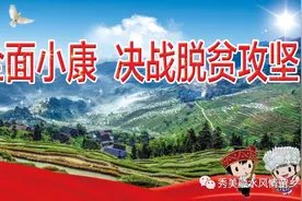自治区妇联副主席岑宛玙:发挥巾帼力量，助力融水实现高质量脱贫图片
