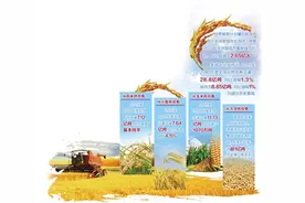 全球粮食安全引发关注——供应总体充足 风险不容小觑图片