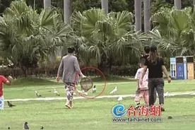 “熊游客”竟要把“风景”网回家 市民反映：有游客在白鹭洲公园用网兜抓捕广场鸽图片