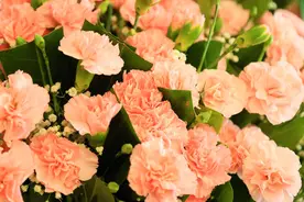 关于母亲节的这些事实 你有必要了解一下图片