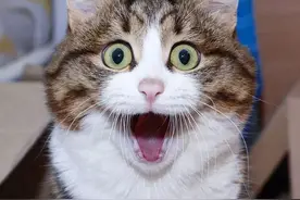 这不是段子！妈妈骑车到幼儿园，回头看后座…儿子呢？图片