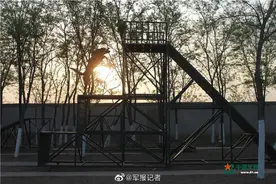功勋防暴犬要退役了，训导员记录下陪伴它的军旅时光图片