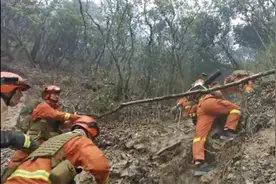 直击凉山山火 | 扑救难度大为何一定要救图片
