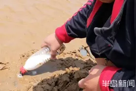 即墨滨海公园海边市民享周末好“拾”光 挖蛤蜊捉蛏子走起图片