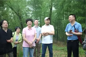 “乡”约婺城，共享“白沙溪”的美丽与乡愁图片