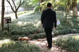翠苑自家门口也有遛犬区了！狗狗也有交友区了图片
