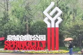 一场小雨后，泉城满街蔷薇绽放，雨露均沾图片