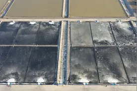 101秒｜你知道海盐是怎么制作的吗？探访青岛最后一块盐田，揭秘古法晒盐图片