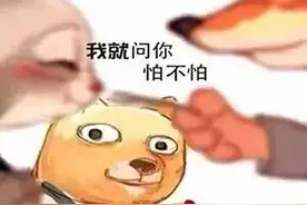 想“520”领证的新人，这个消息你要知道……图片