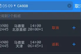 马德里飞北京航班返航，大使馆称“遭鸟击”，国航客服：机场原因图片