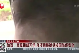陕西：高校错峰开学  多项措施确保校园防疫安全视频封面