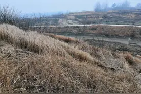 河南信阳埋尸案迷局图片