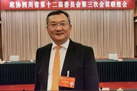 川企振兴·企业家说④丨陈波：建议成渝两地深化金融领域合作，建立成渝证券交易所图片