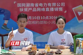 国网湖南电力扶贫记丨贫困村首次“触电”网络直播1小时“带货”3600单图片