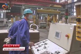 武汉武钢有限100%复产  努力追回疫情造成的损失视频封面