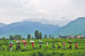 重塑人与山水自然的友好关系——陕西持续深入修复保护秦岭生态图片