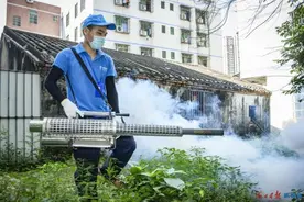 集中灭蚊第一天，海口四个区这样干→图片