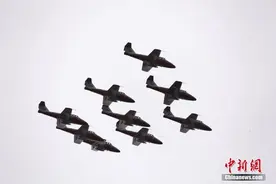 加拿大“雪鸟”飞行队飞越多伦多 为抗疫打气图片