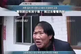 美人计 | 周冬雨终于也逃不过古装仙侠剧了图片
