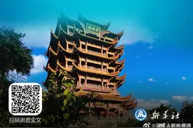 在民族复兴的历史丰碑上——2020中国抗疫记图片