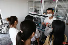 “余生请多指教”,拍照宣誓登记……这不是扯结婚证，而是在领养猫图片