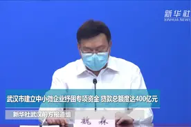 武汉市建立中小微企业纾困专项资金 贷款总额度达400亿元视频封面