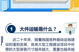 一张图看懂2019年跨省大件运输图片