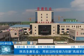 陕西圣唐乳业：用前沿科技倾力创新“高端羊奶”图片