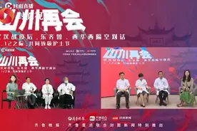 山川再会｜华西医院专家回忆：出征武汉，机场见到友军倍感温暖图片