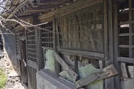 深山荒村——荒村古树下 建起了新的休闲步道图片