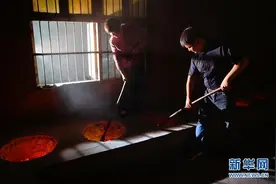 武夷山：一片茶叶 三代人的坚守图片