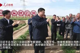 总书记刚刚来过这里 | 大同云州：小黄花大希望图片