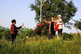 农民拍抖音赞美新时代图片